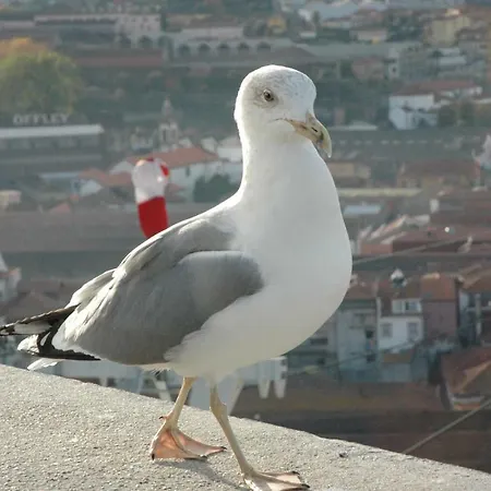 Διαμέρισμα Wojcik Porto Γκντίνια